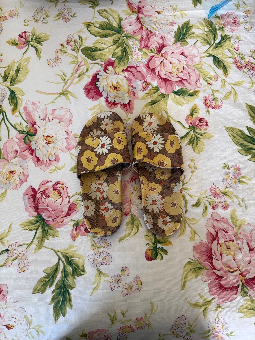Coach Brown Floral Slide Sandals with Yellow and White Daisies